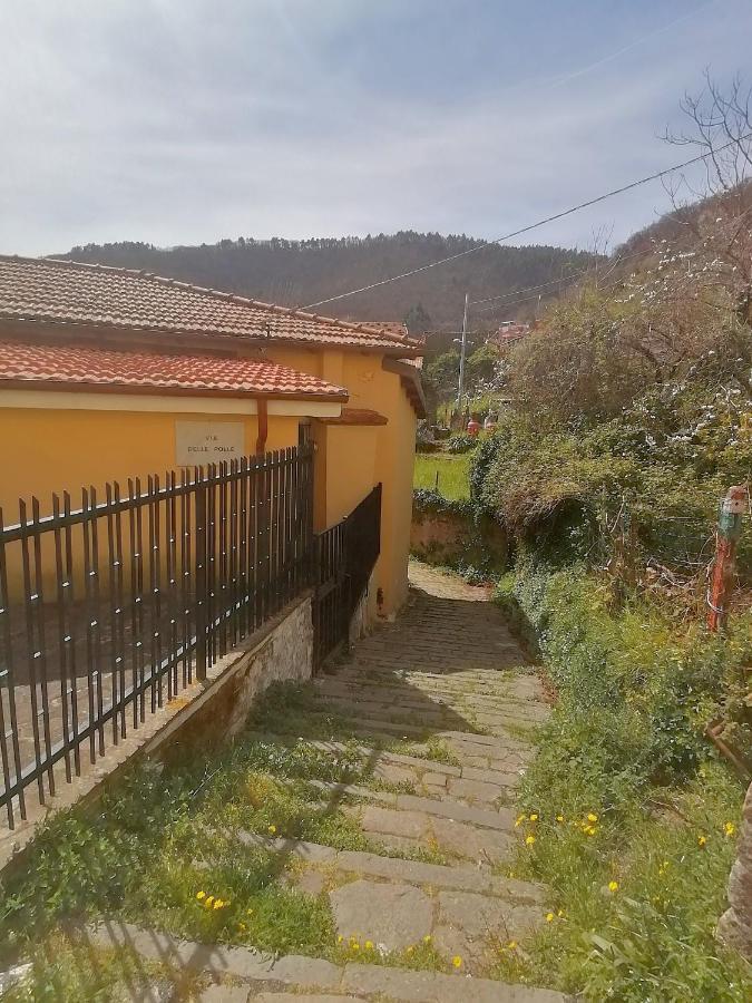 Villa Da Greta à La Spezia Extérieur photo